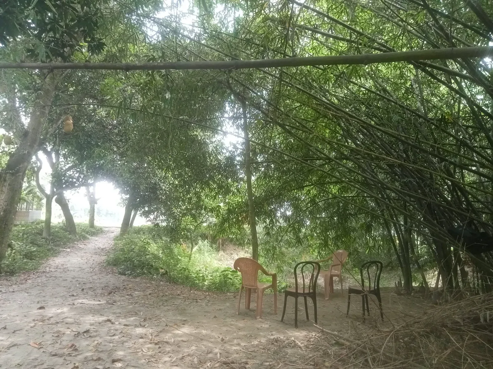 জলবায়ু পরিবর্তনের কারনে অস্তিত্ব সংকটের হুমকিতে আছে পৃথিবীর ৪২ টি দেশ