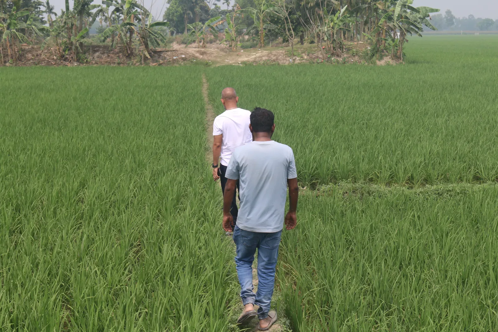 জলবায়ু পরিবর্তনের কারনে অস্তিত্ব সংকটের হুমকিতে আছে পৃথিবীর ৪২ টি দেশ